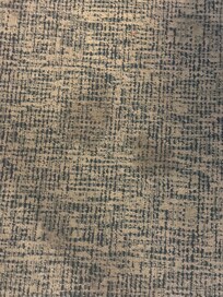 Another carpet stain