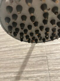 Shower head with mould and barbs of black