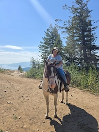 Trail riding