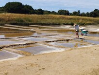 Marais salants le port des salines Grands villages plages