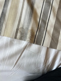 Fotos do momento que chegamos no quarto