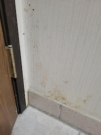 Wall stains