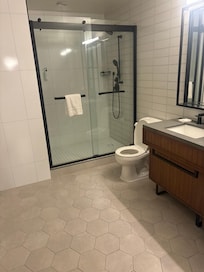 Large spa like bathroom