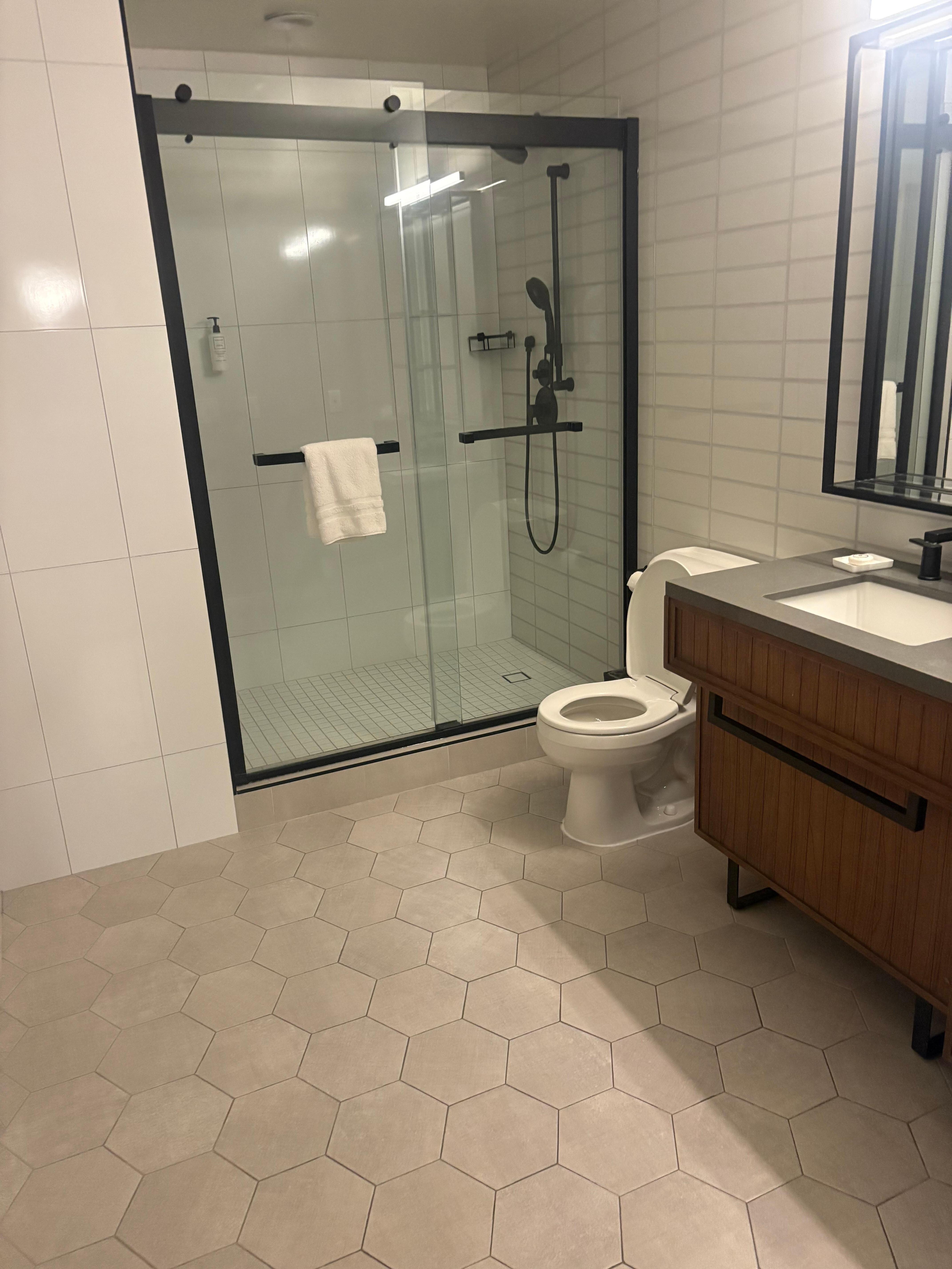Large spa like bathroom
