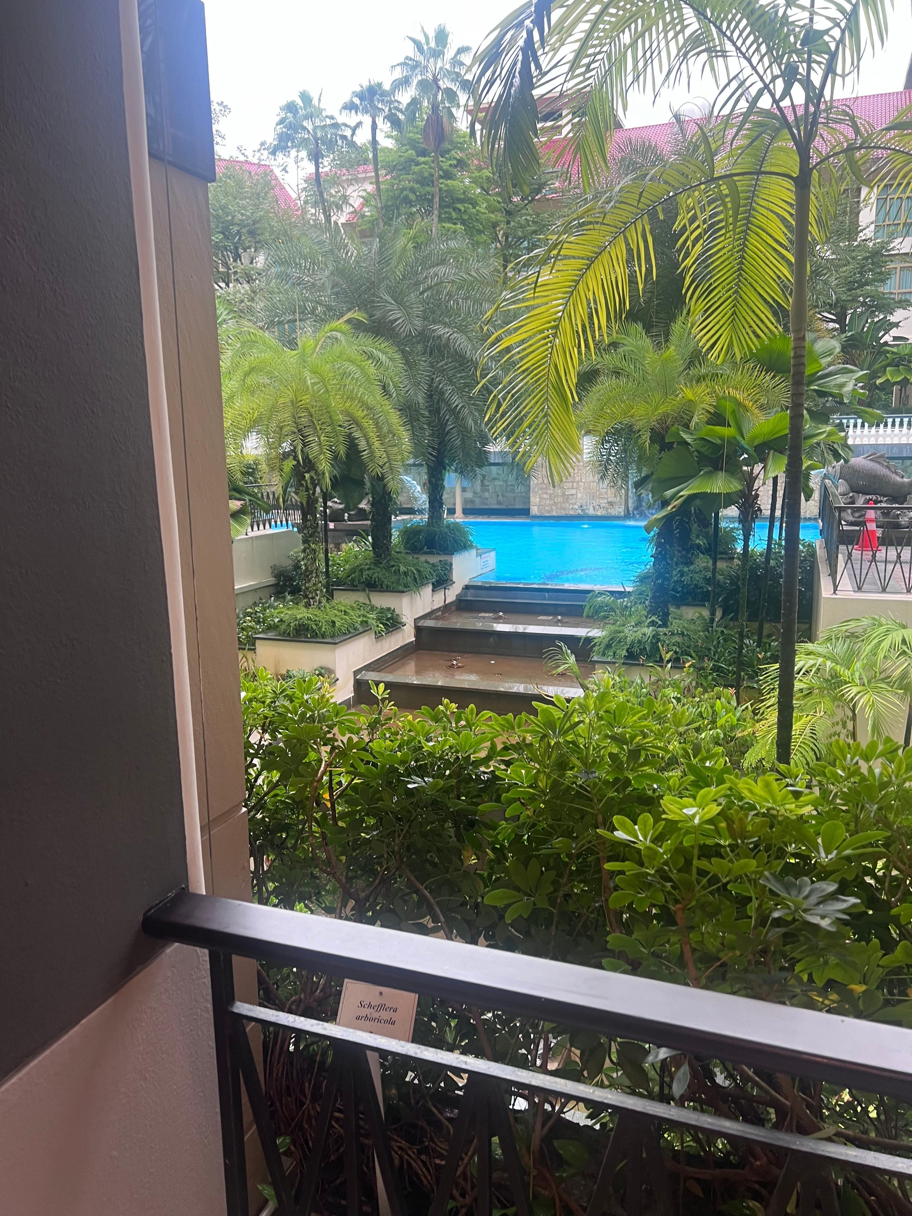 View from main entrance