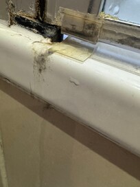 Mold unacceptable
This shows the leaking has been happening for a long time