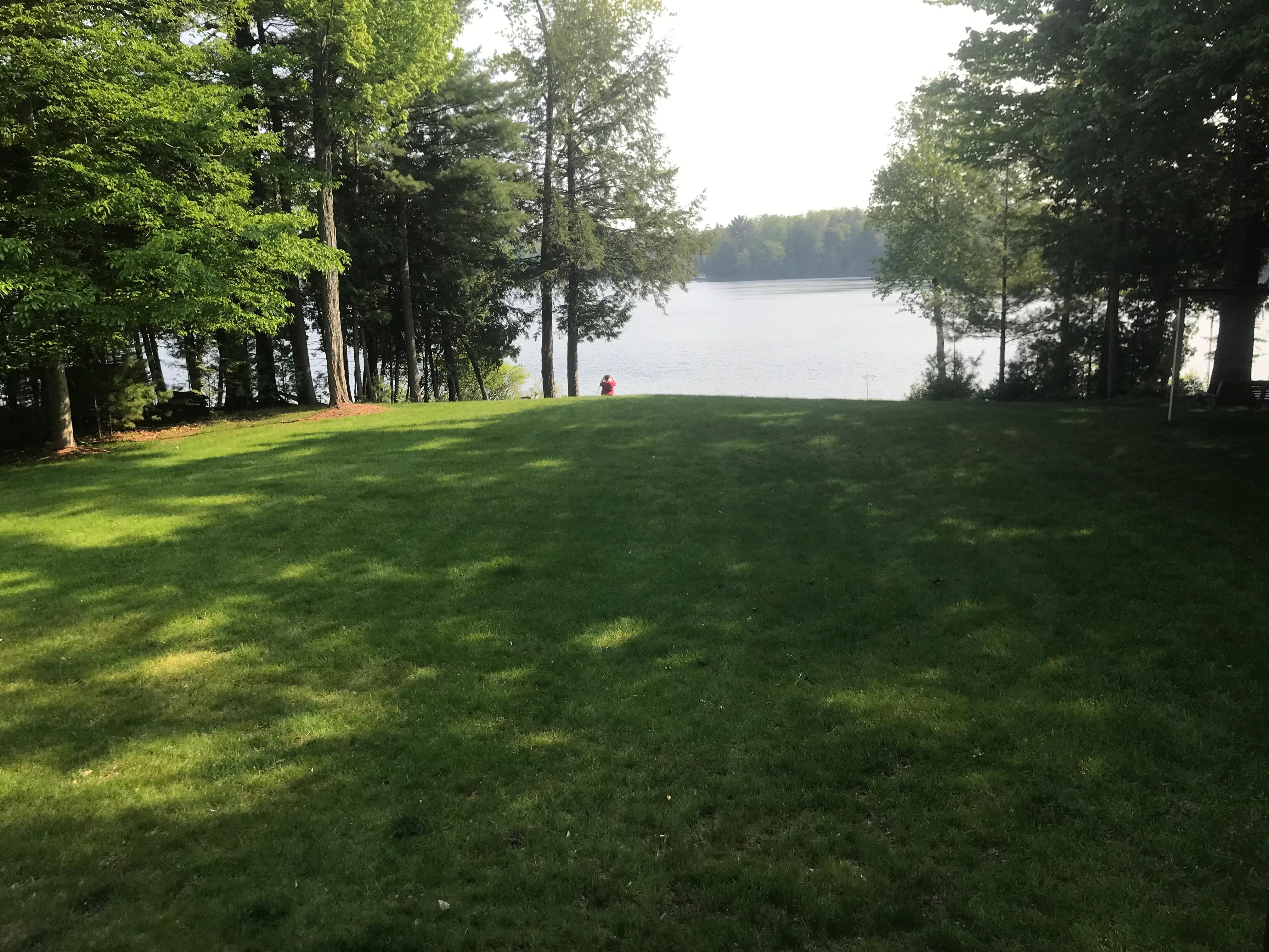 The view from the screen porch.