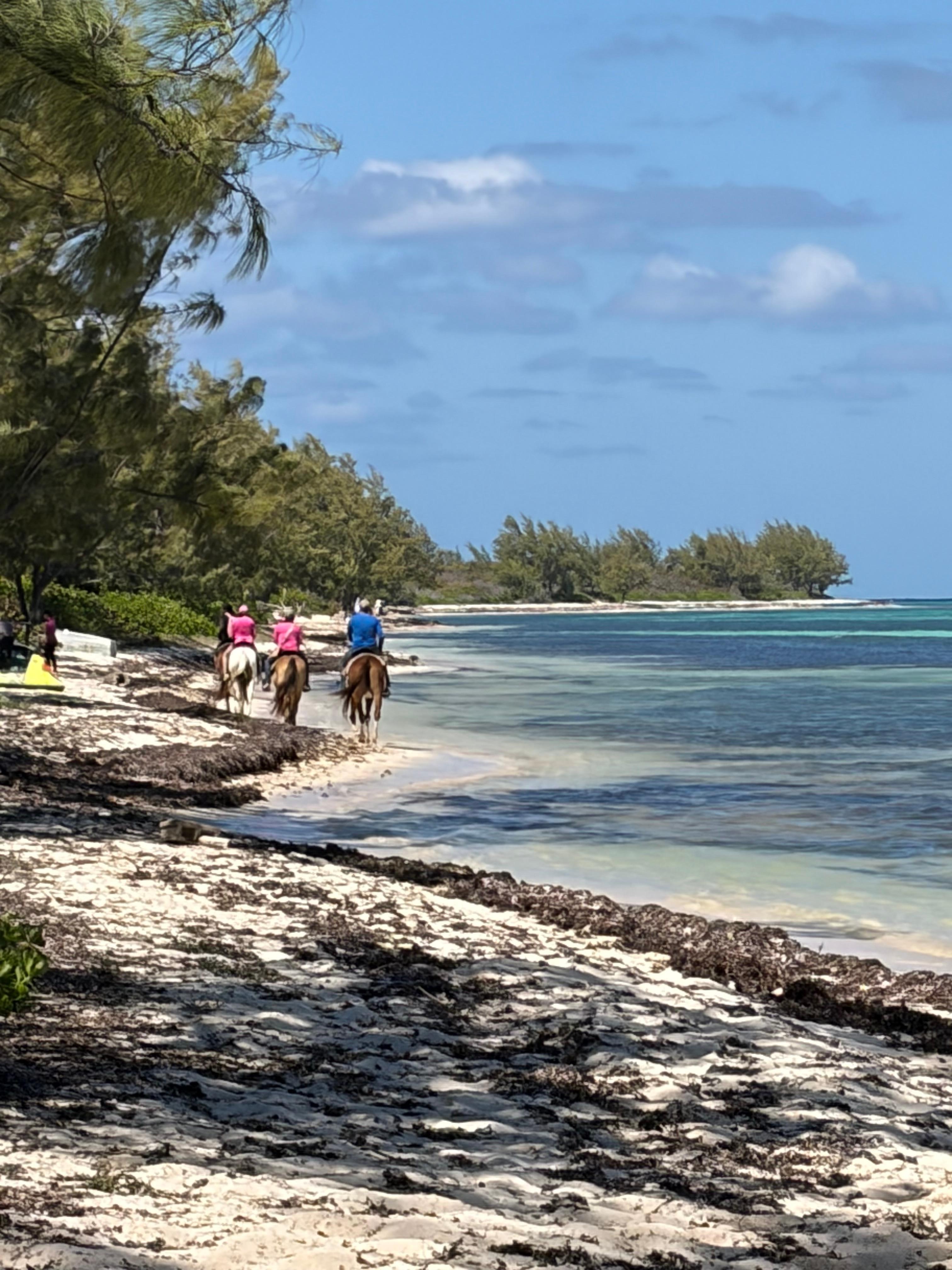 Horse riding and kite-surfing school within walking distance of the condo