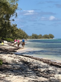 Horse riding and kite-surfing school within walking distance of the condo