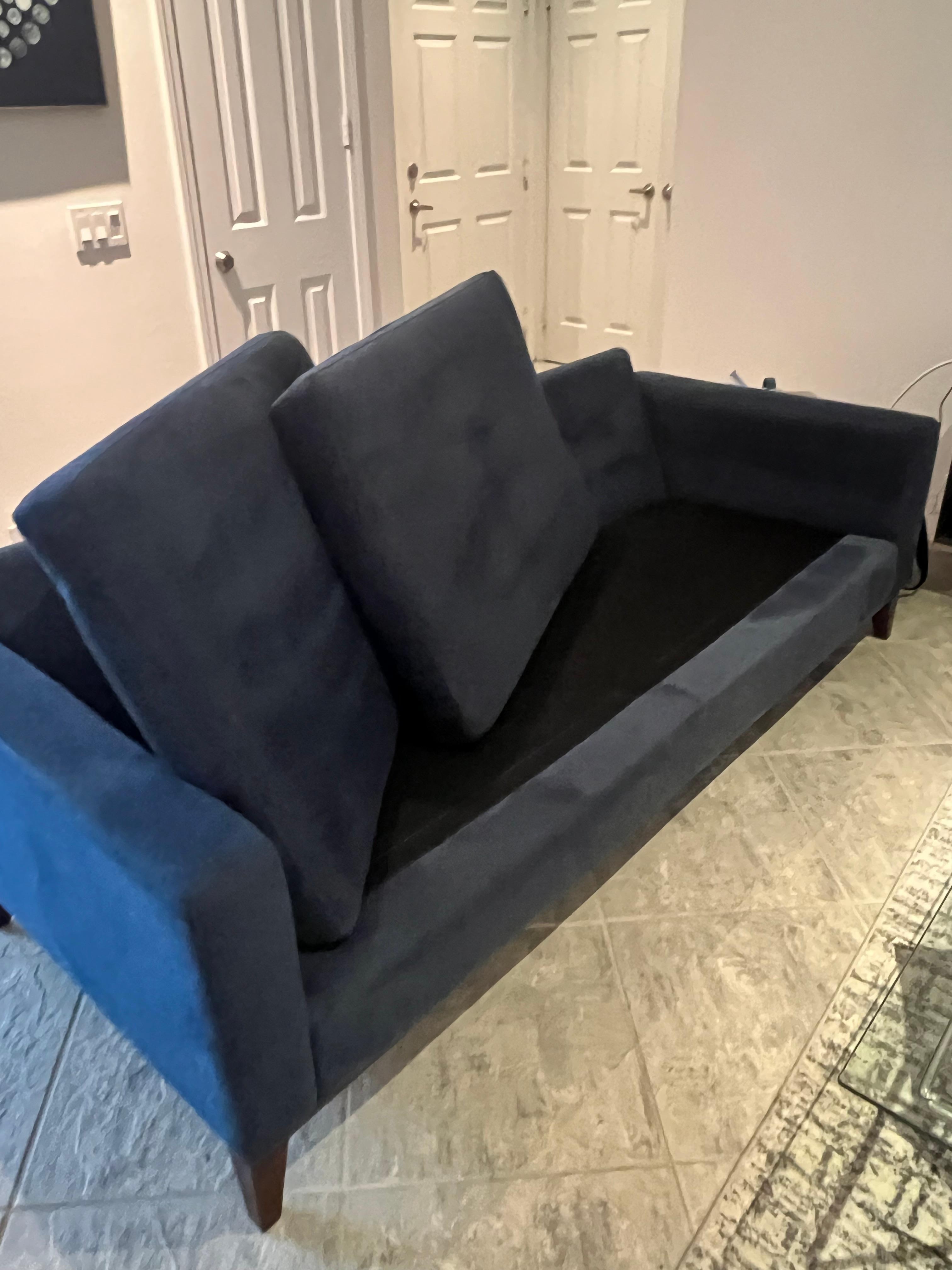 I had to deep clean the couch. 