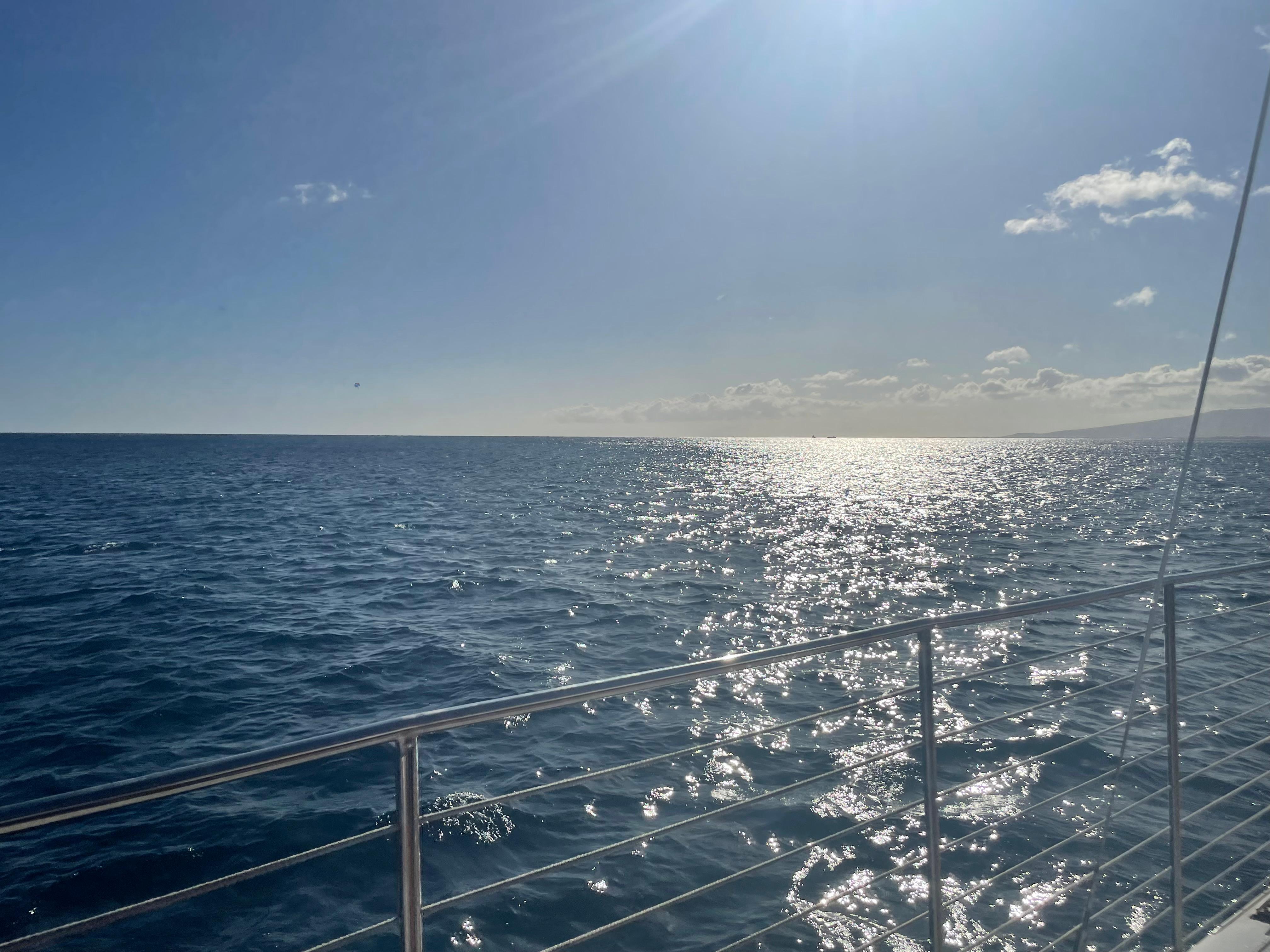 Sunshine on the water 