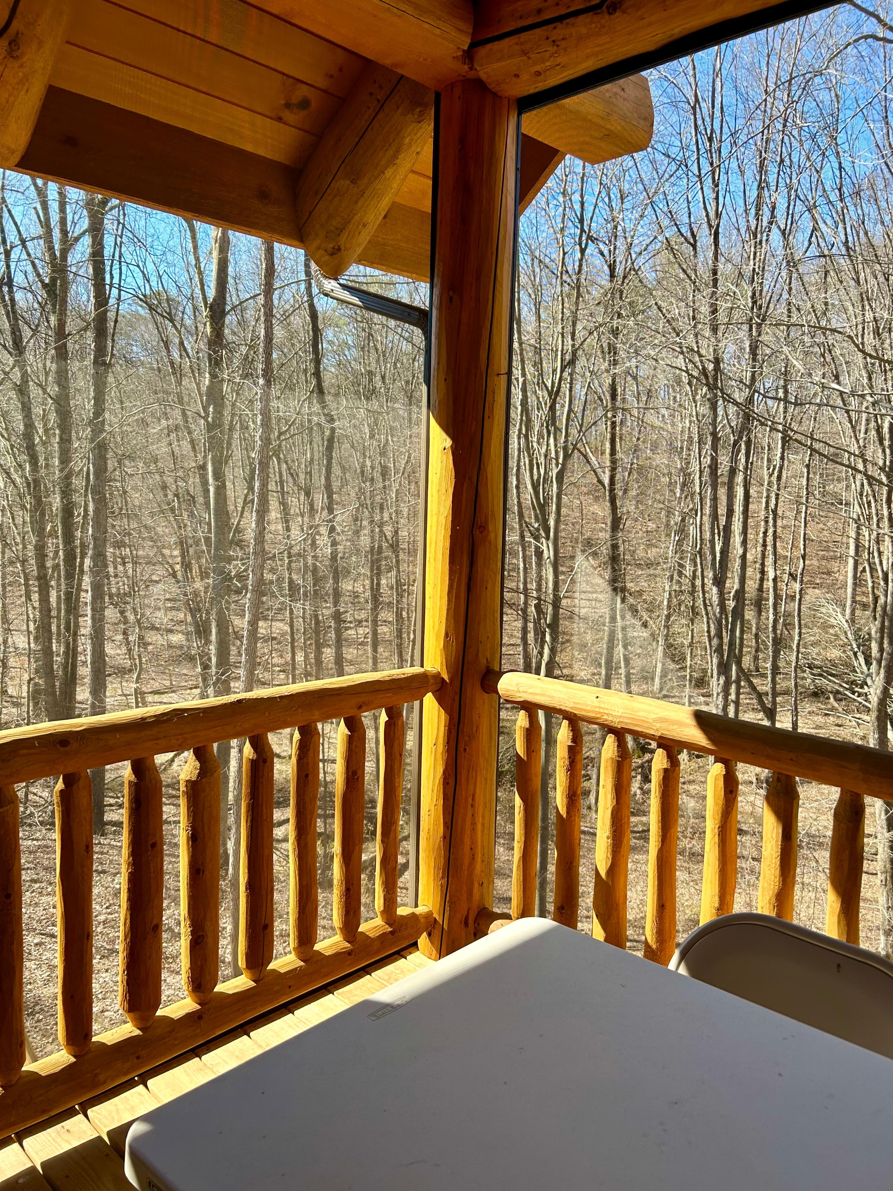 View from the upper deck 