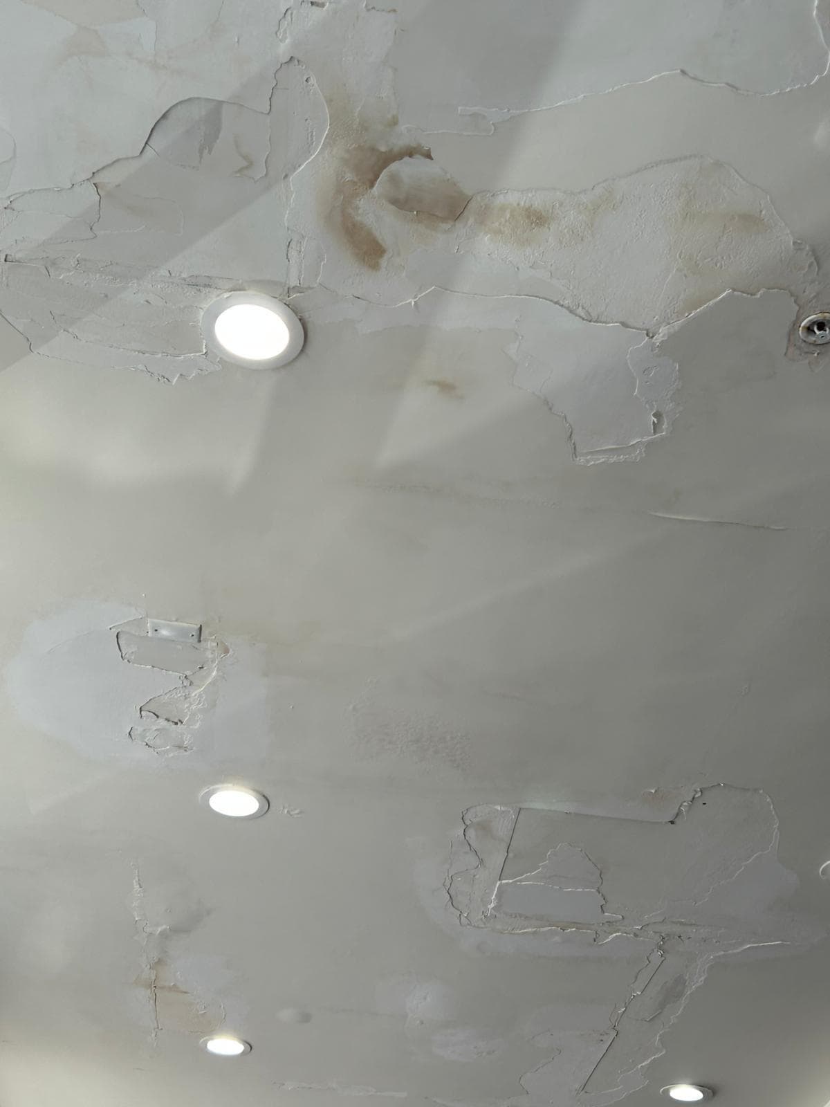 Roof of the breakfast area