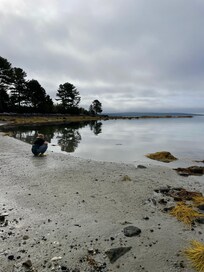 Misty morning at the beach