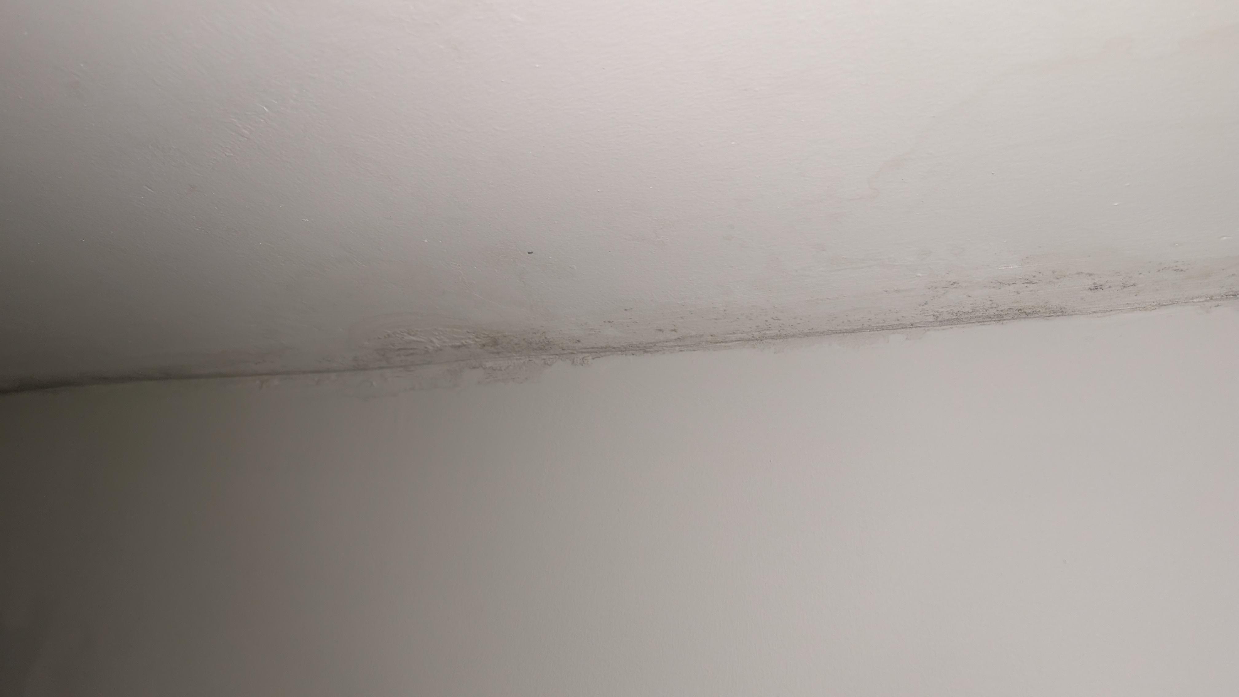 mould on ceiling
