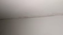 mould on ceiling