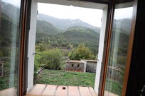 The view from the window