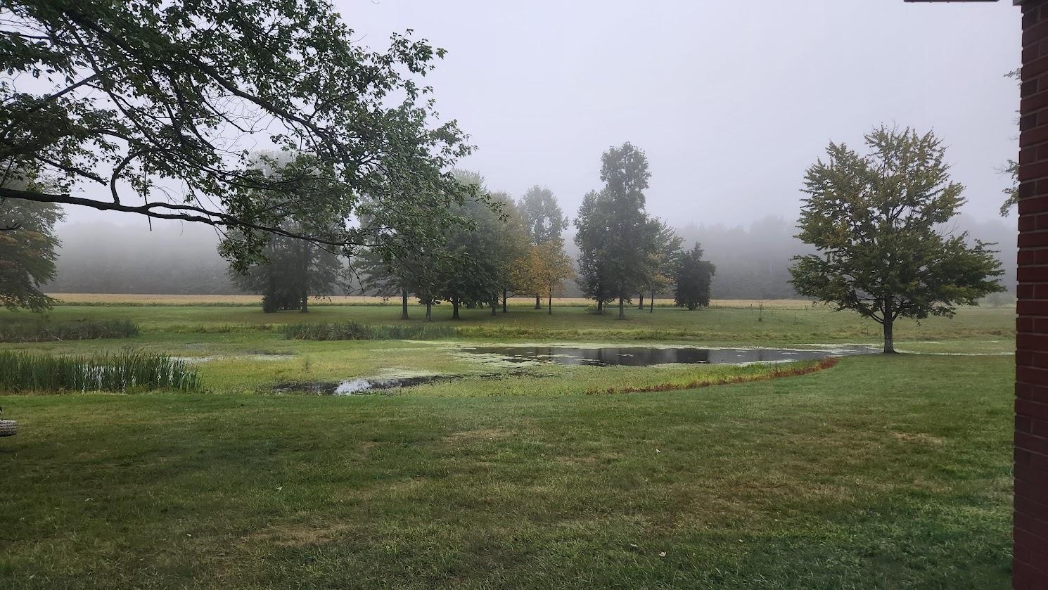 View out the back.  We had pretty grey weather, but it was still pretty.