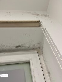 Schimmelbefall im Badezimmer mit Außenwand (Blickwinkel Basdezimmerfenster rechts).