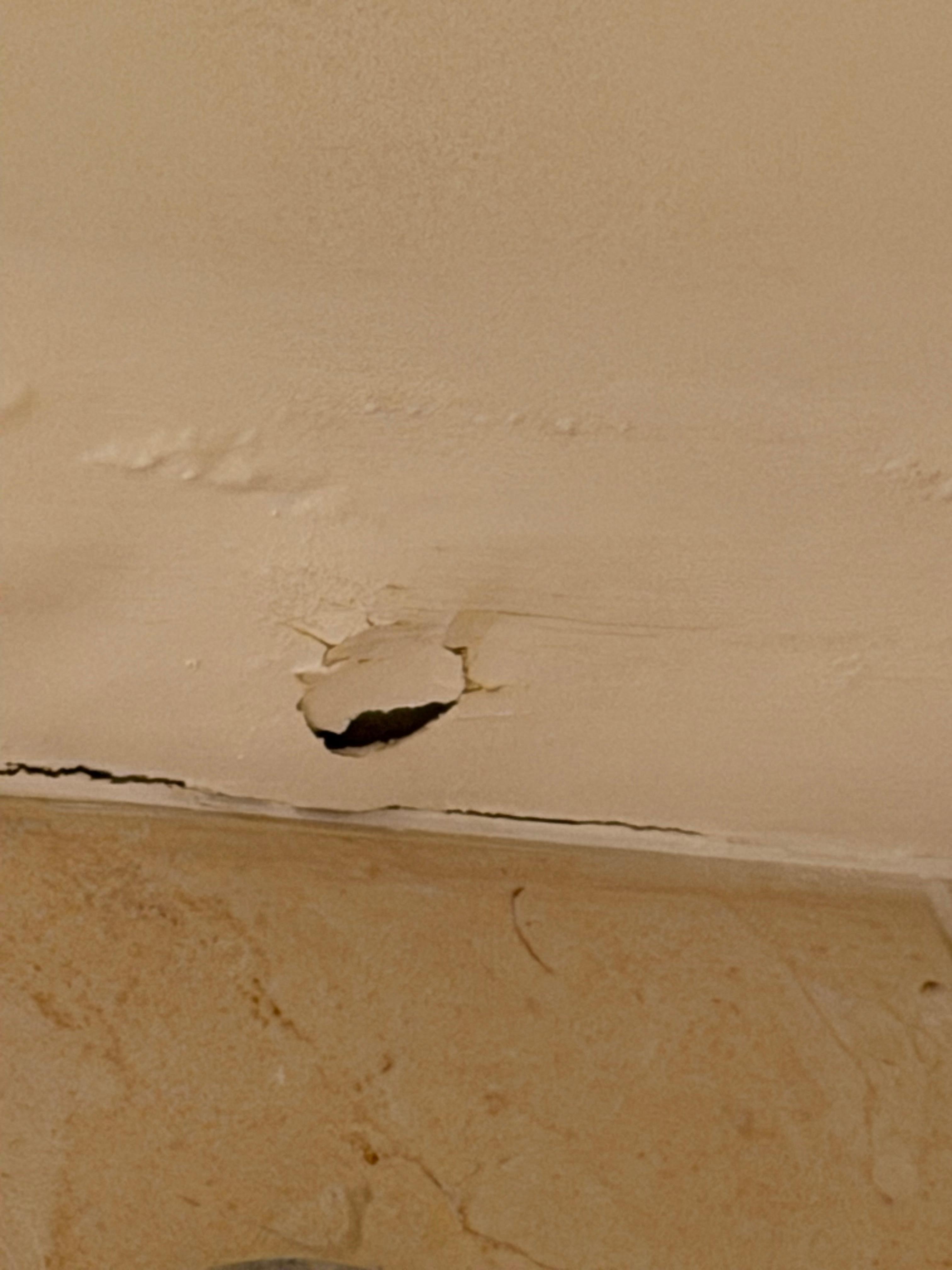 Ceiling dropping flakes of paint 