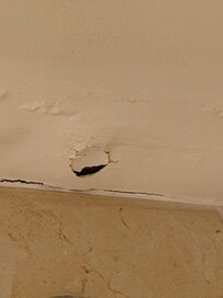 Ceiling dropping flakes of paint