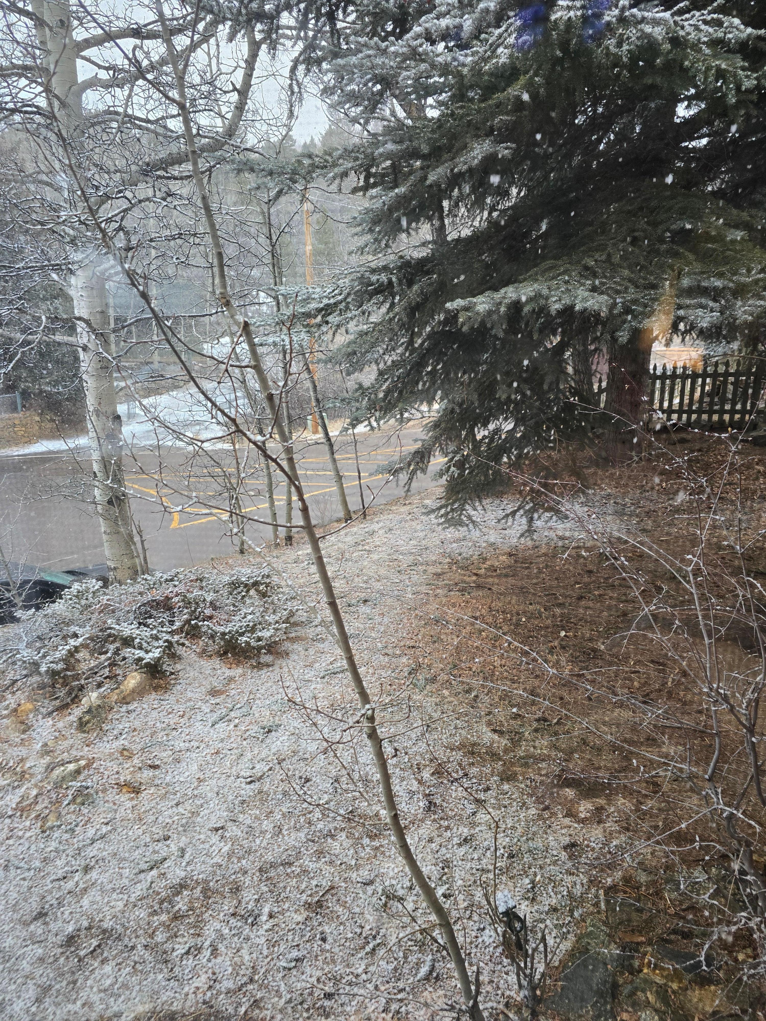 Looking out front window to the side