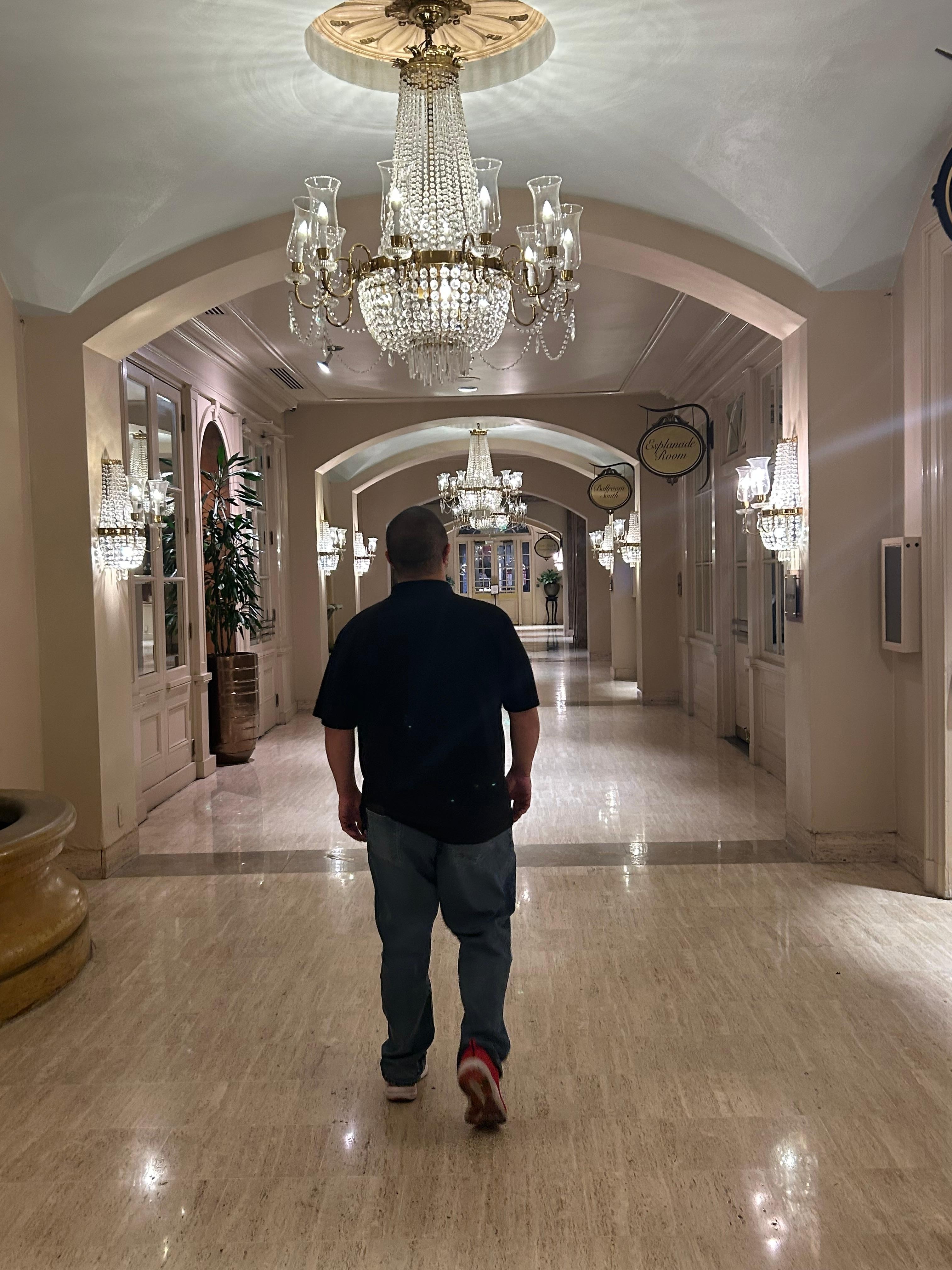 The most gorgeous hallways and ballrooms in this hotel 