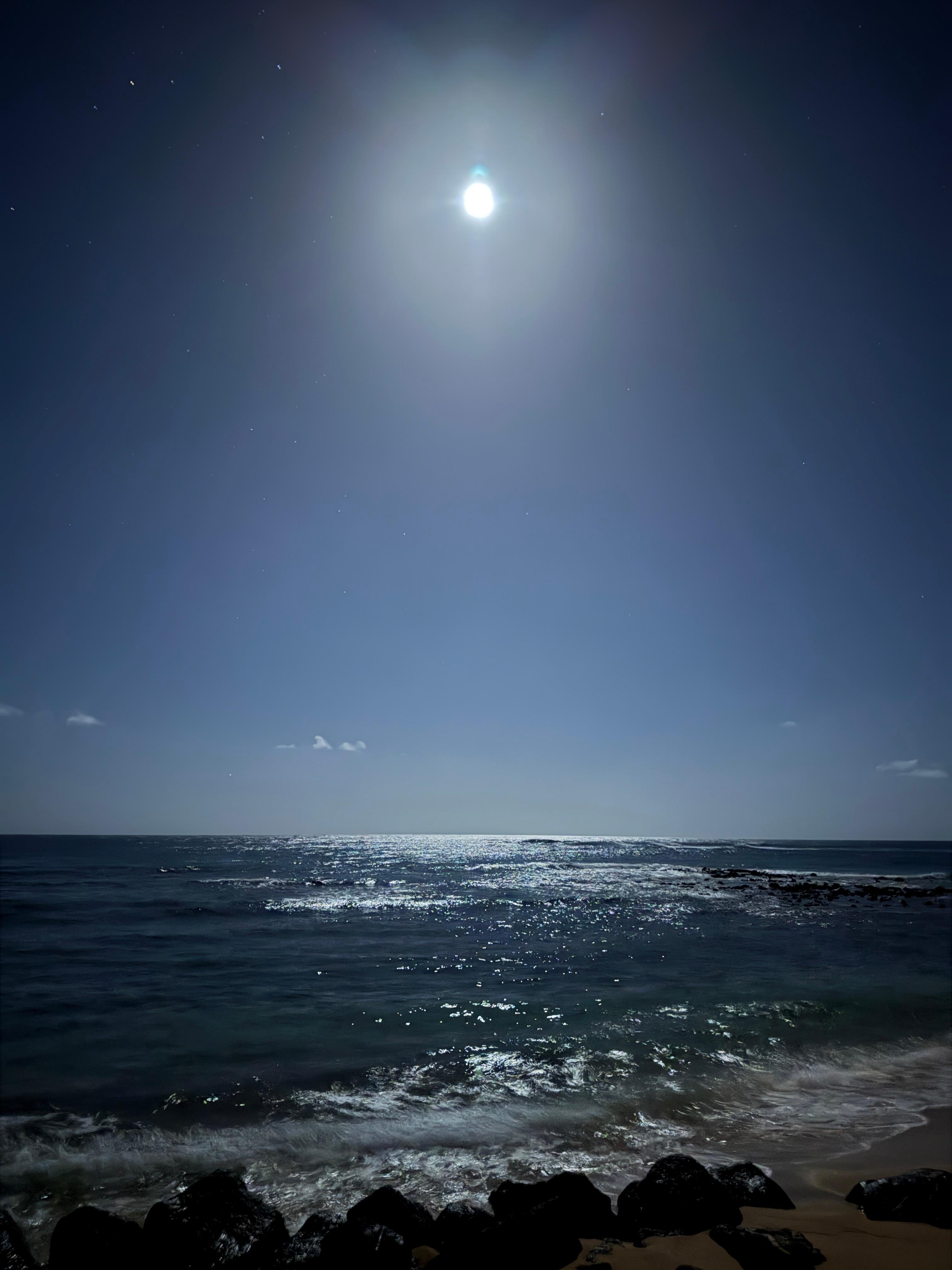Paradise 