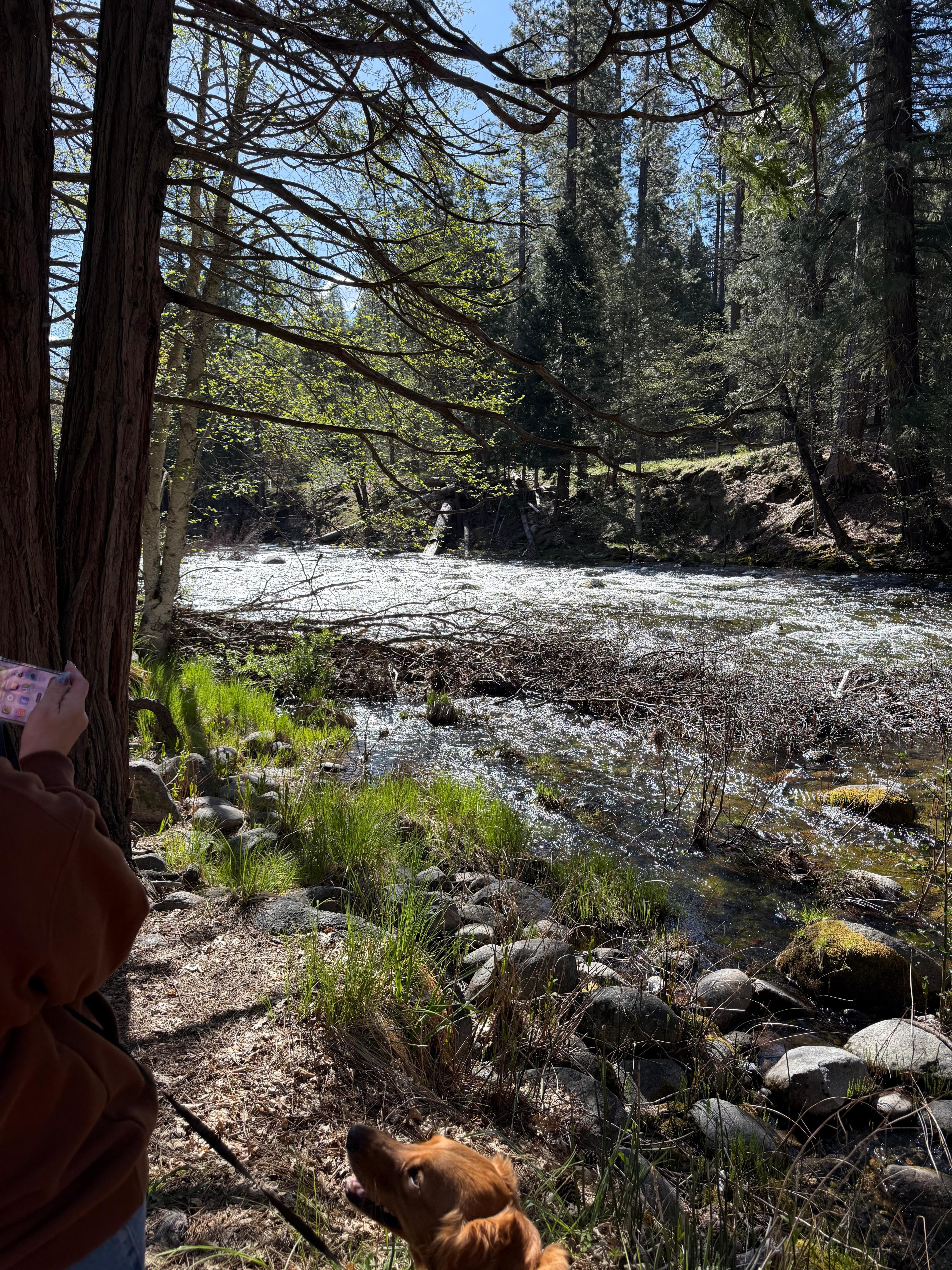All of these photos were taken within one mile of the cabin. 