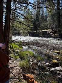 All of these photos were taken within one mile of the cabin.