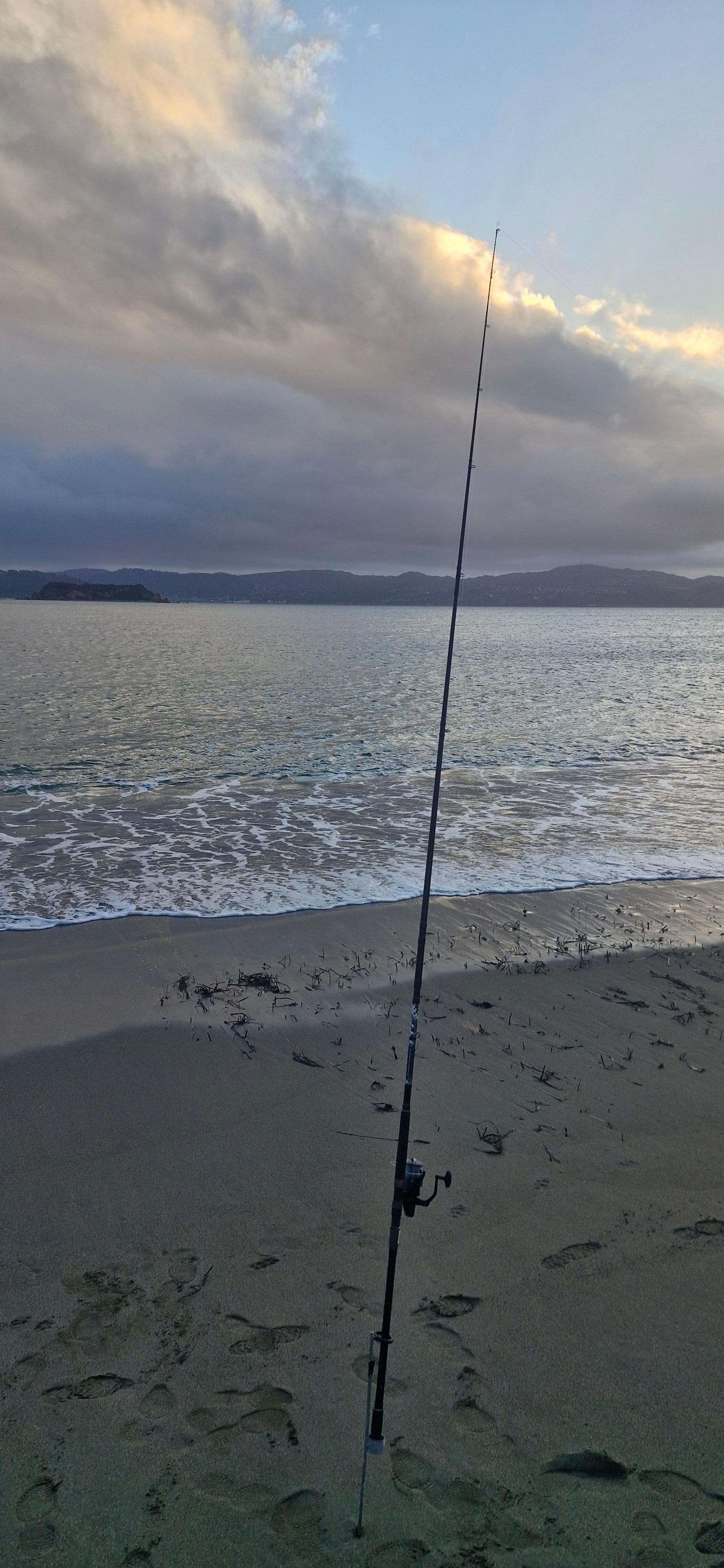 Caught a beautiful trevally 