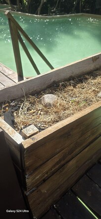"Even the terrace planters are bare and filled with cigarette butts."