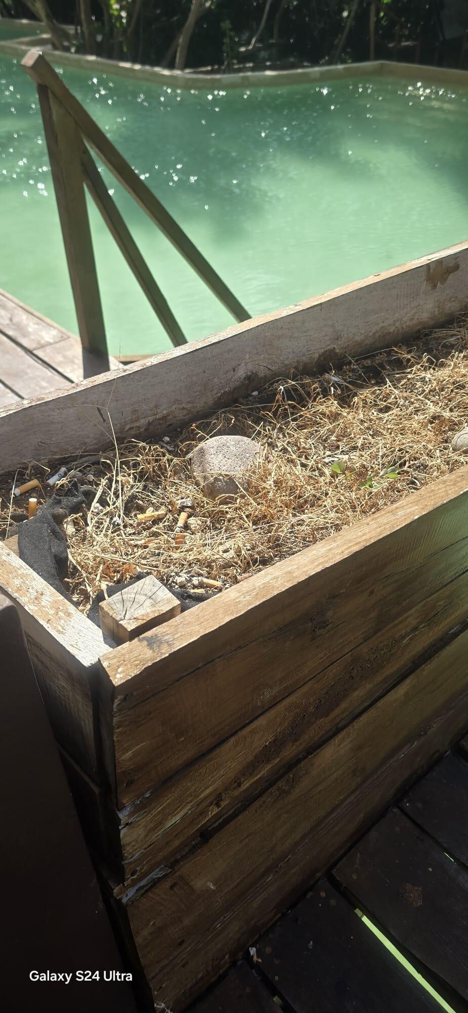"Even the terrace planters are bare and filled with cigarette butts."








