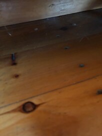 Dust on the floor beside the bed