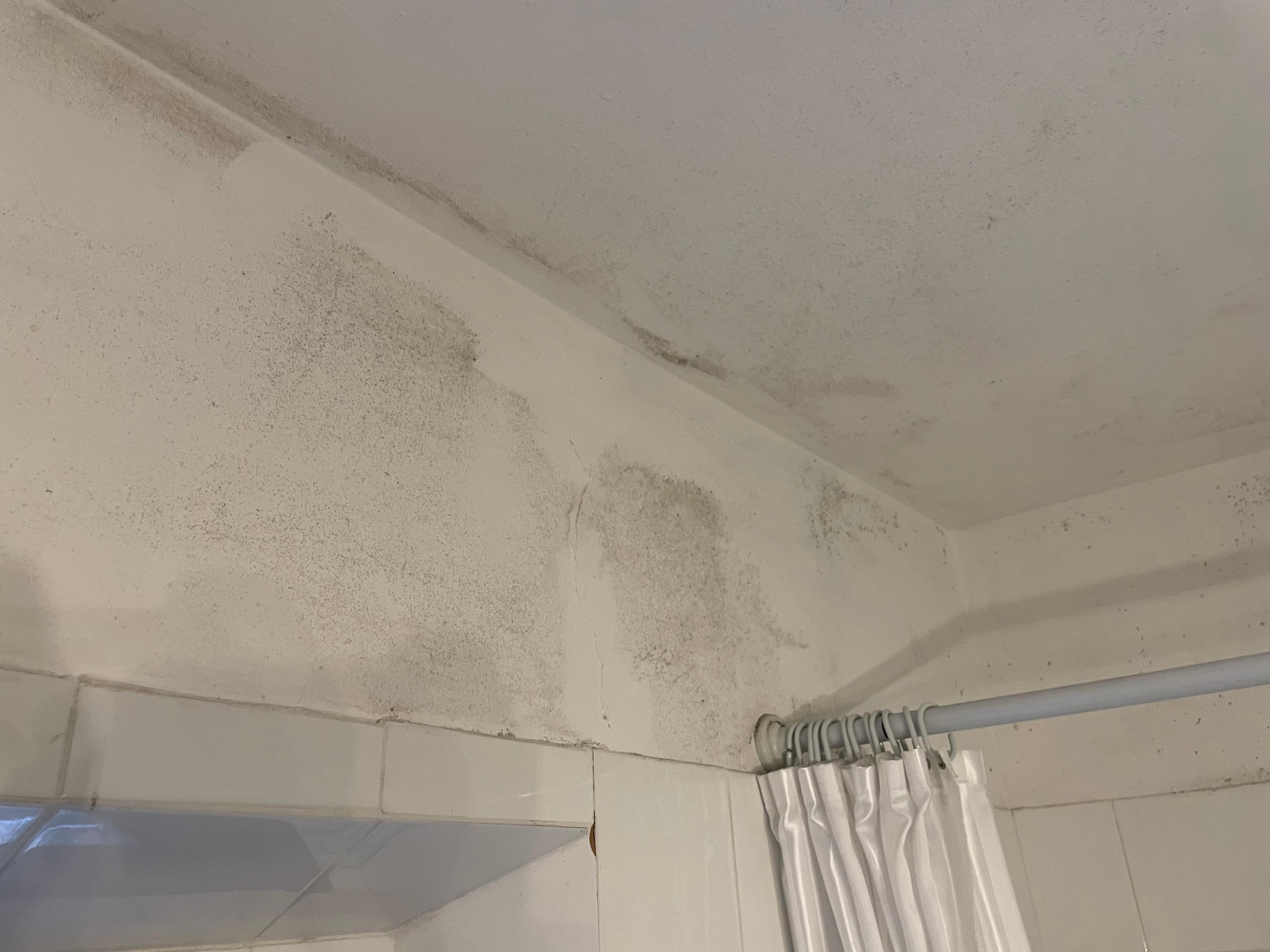 Bathroom wall mildew.