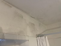 Bathroom wall mildew.