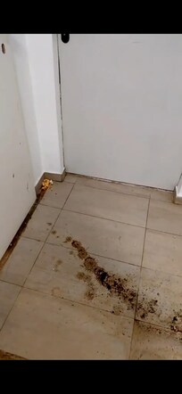 Vor der wohnungstür wahr dieser Schmuz es hat sehr gestunken.