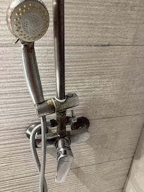 Shower head, moldy, disgusting