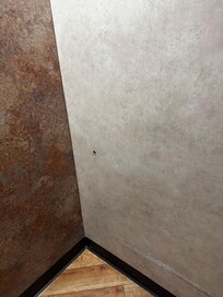 Elevator wall hole 1