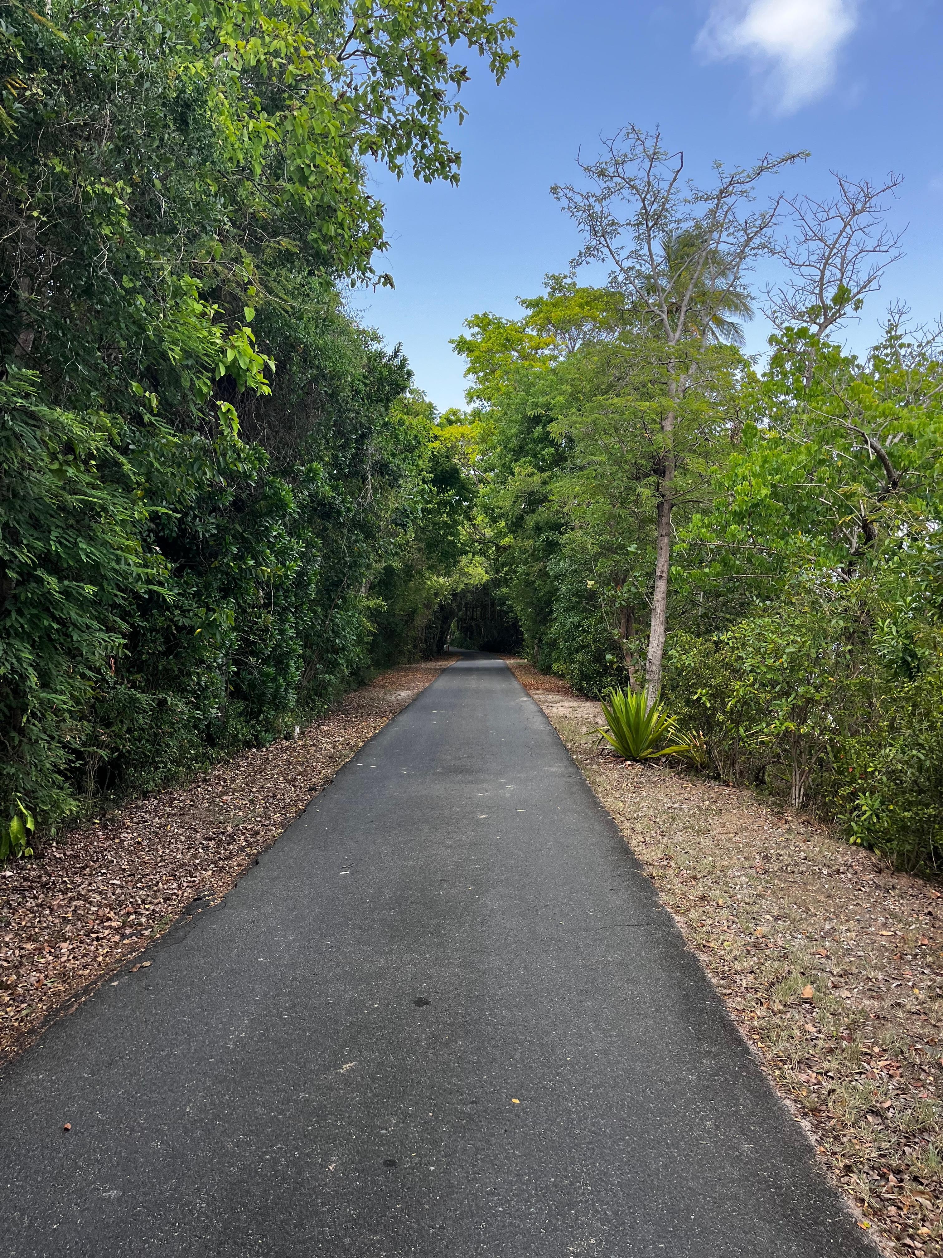 Walking trail near condo
