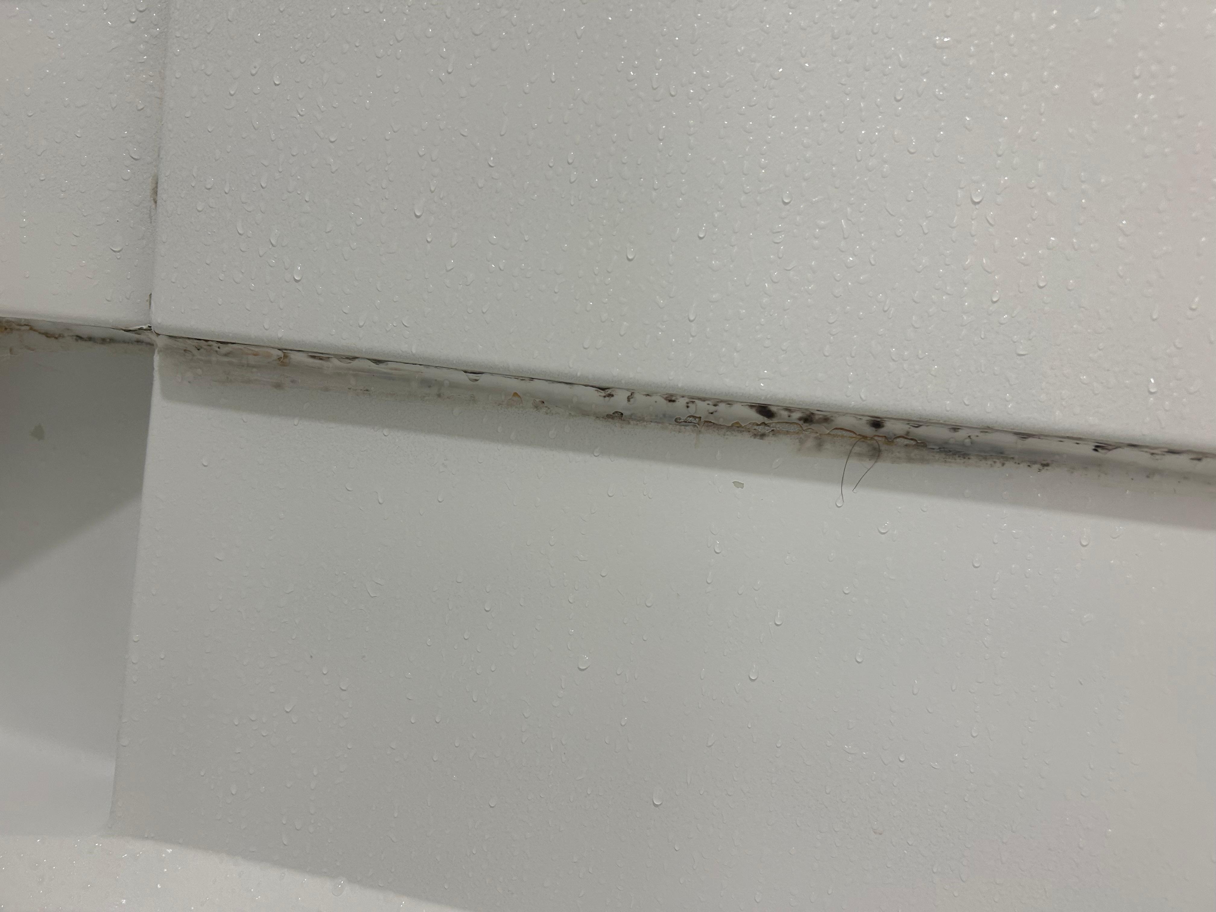 Mold in shower.