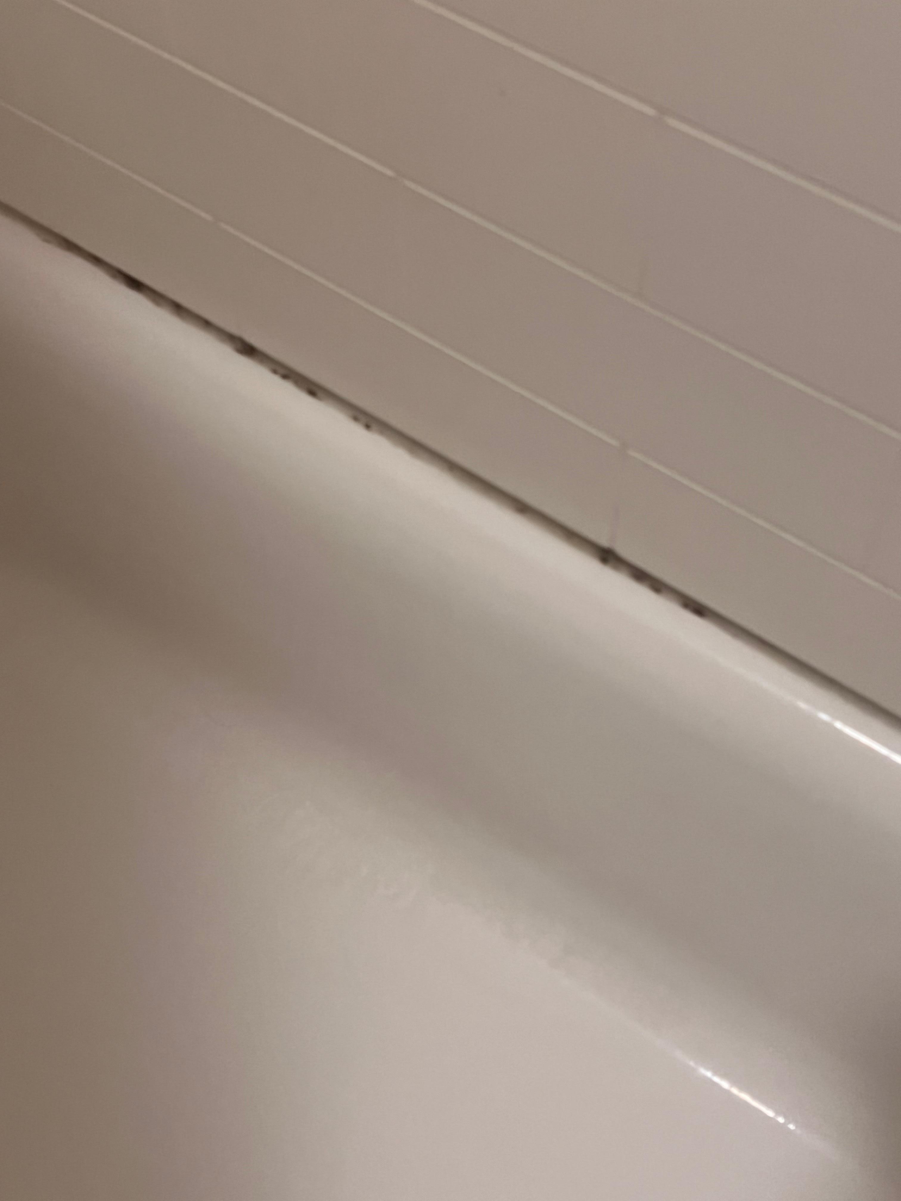 Mold around the tub