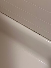 Mold around the tub