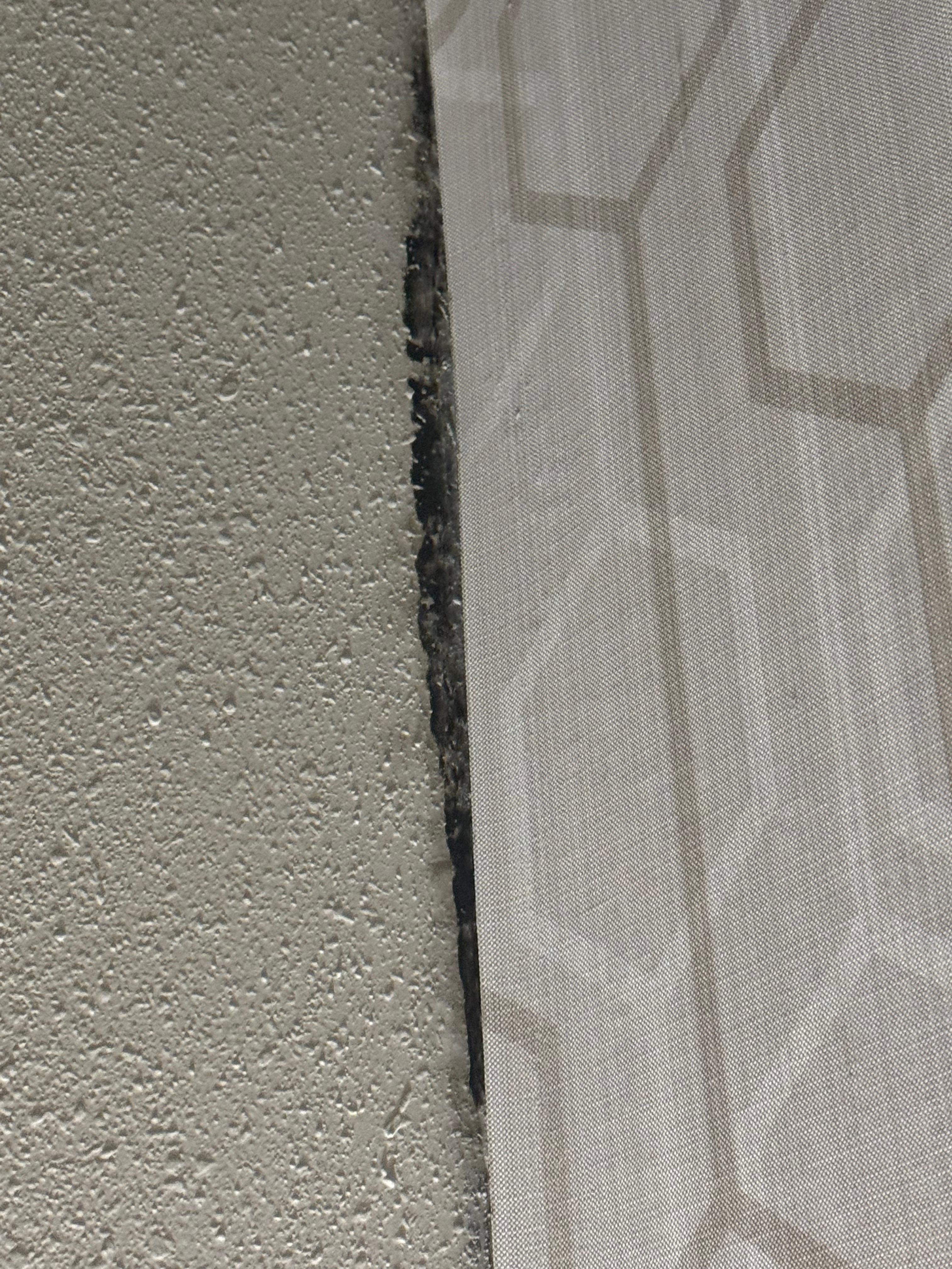 Black mold in room