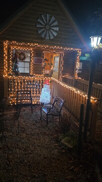 Love that they have it decorated for Christmas. Tree and all inside.