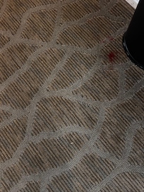Carpet stain 1
