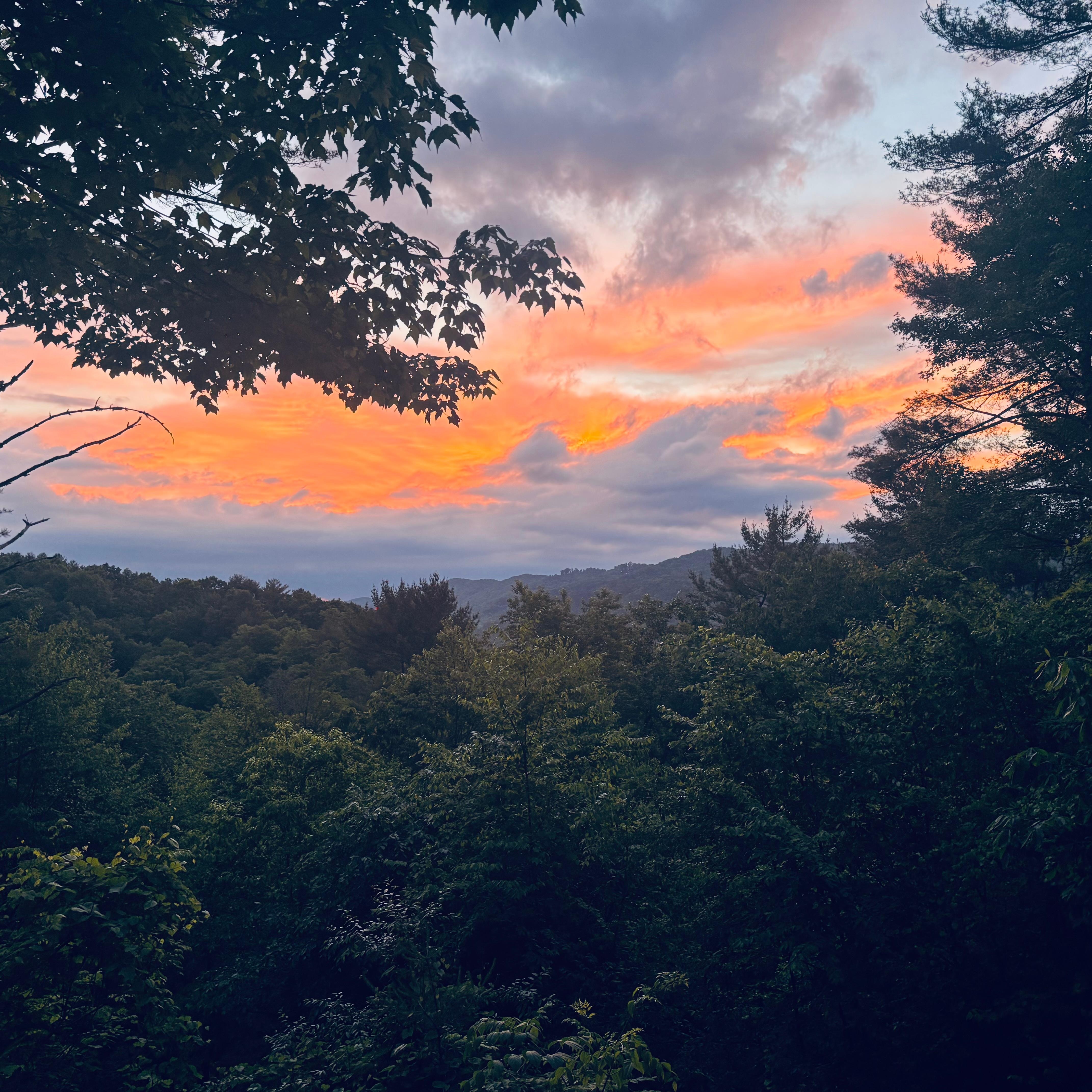 6:00 am