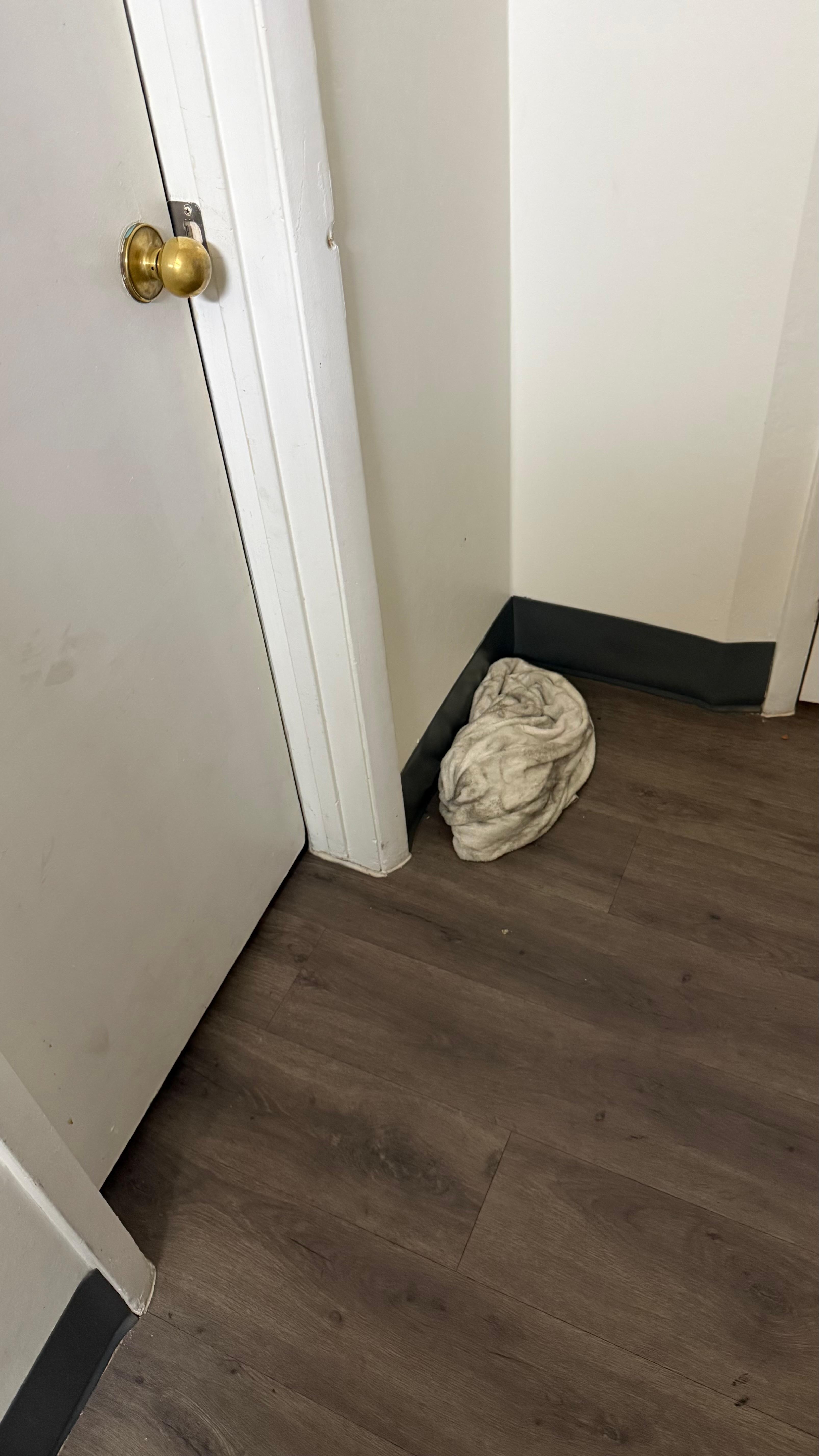 Dirty towel behind door