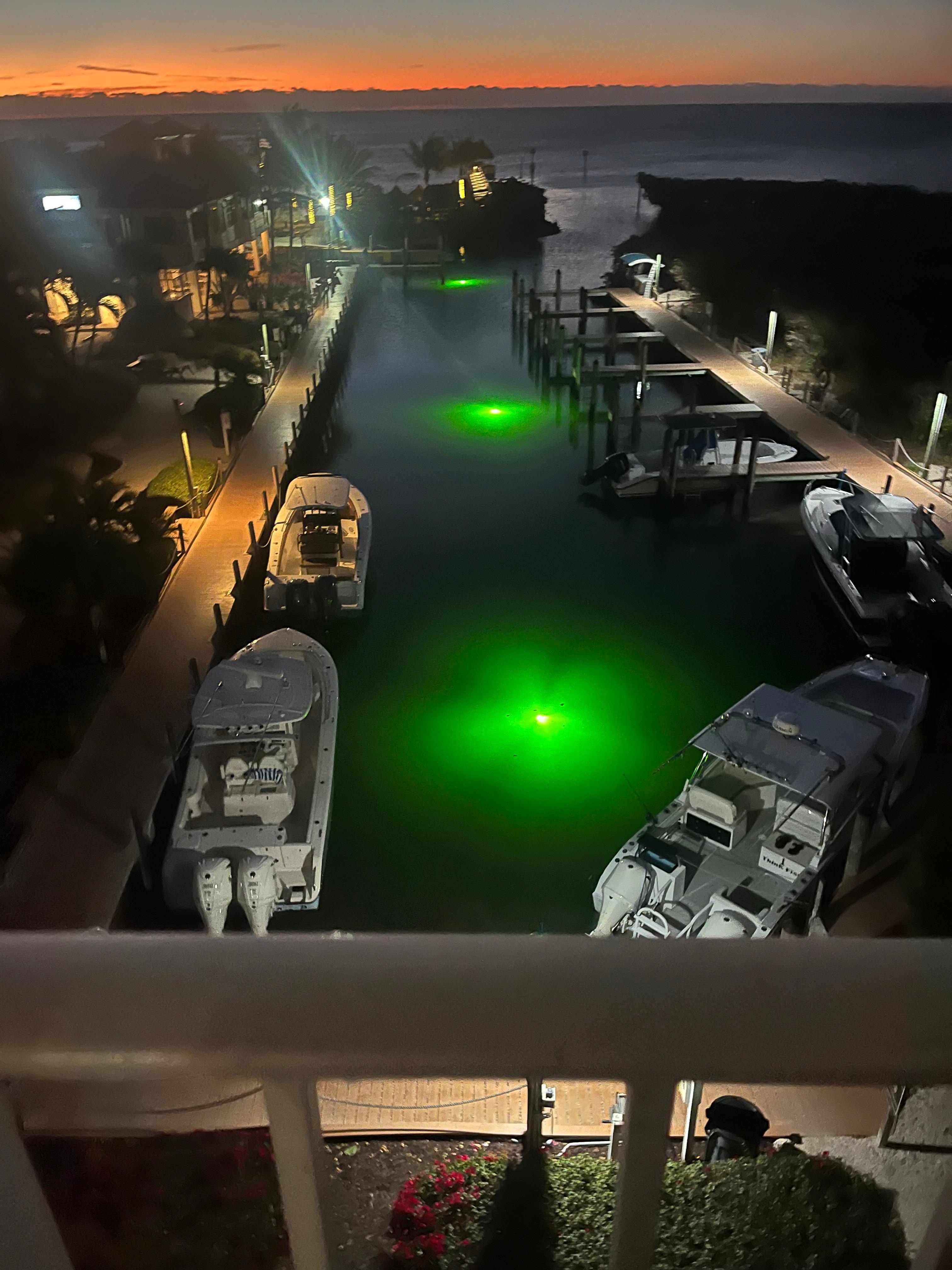 Harbor outside our balcony at night