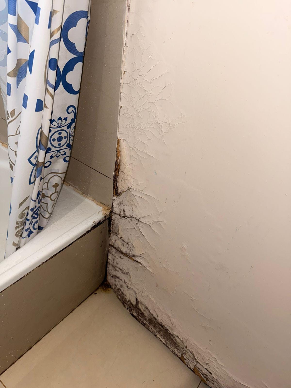 Porta do banheiro mofada e estragada 